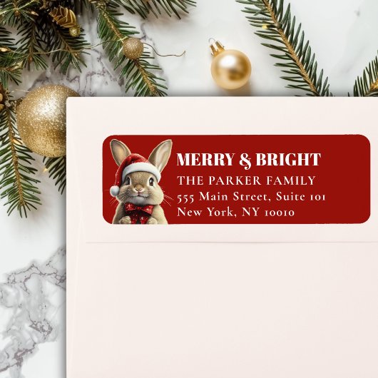 FREUE Weihnachten! Adorable, Kaninchen, Weihnachts