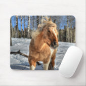Freuen Sie sich auf den Palomino Pinto Pferd und S Mousepad (Mit Mouse)