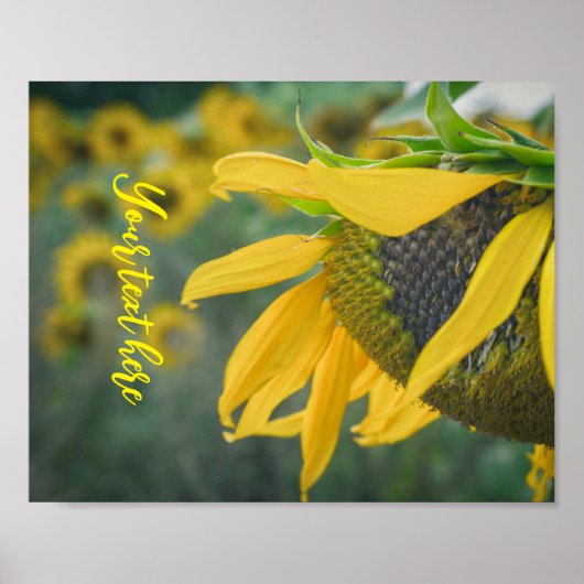 Freuen Sie sich auf die ländliche Sonne Poster (Vorne)