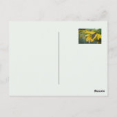 Freuen Sie sich auf die ländliche Sonne Postkarte (Rückseite)