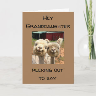 FREUEN SIE SICH *GEBURTSTAG* AUF MEINE *GRANDDAUGH KARTE