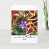 Freund/Denken an Sie, Buntlippe mit Rosa Karte (Rückseite)