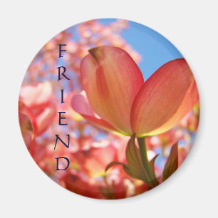 Freund Magnet Natur Rosa Dogwood Blumen Bäume