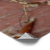 Freund oder Frosch Poster (Ecke)