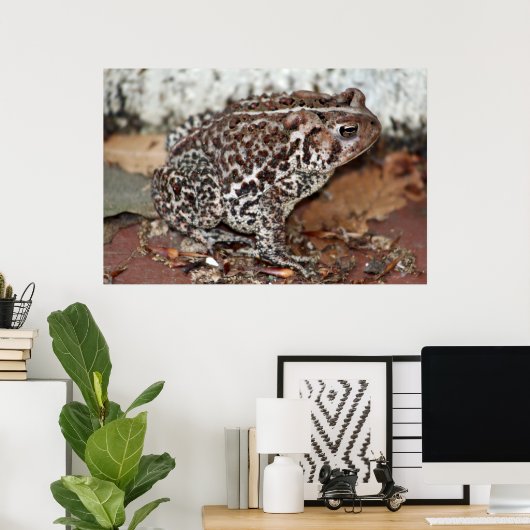 Freund oder Frosch Poster (Heimbüro)