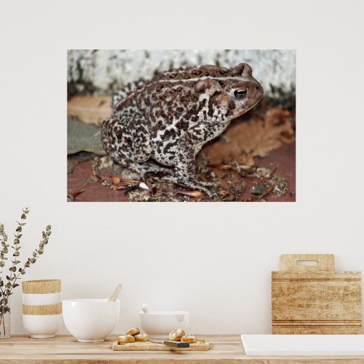 Freund oder Frosch Poster (Küche)