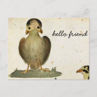 Freund Postkarte