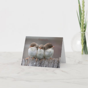 Freund-Stock-zusammen Mitteilungskarten