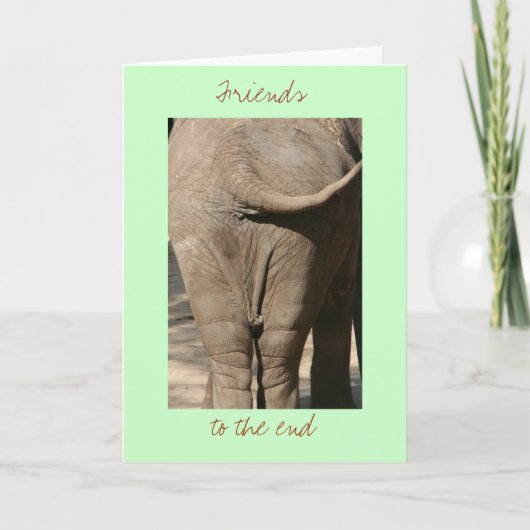 Freunde am Ende Karte (Vorderseite)