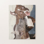 Freunde beim Spielen - Pitbull Welpen Puzzle (Vertikal)