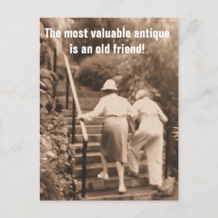Freunde bis zum Ende Postkarte