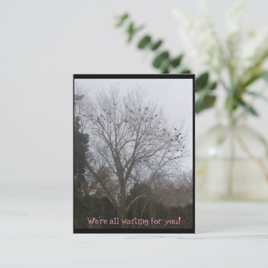 Freunde der Rasse Postkarte (Stehend Vorderseite)