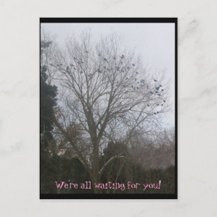 Freunde der Rasse Postkarte