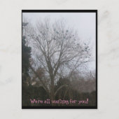 Freunde der Rasse Postkarte (Vorderseite)