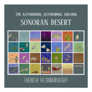 Freunde der Wüste von Sonoran Poster