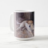 Freunde des Lebens Hunde und Katzen Tasse (Vorderseite Links)