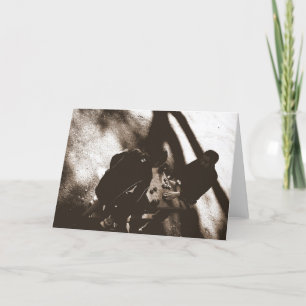 Freunde, die chinesisches Schach/Freundschaft spie Karte