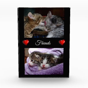 Freunde Fotoblock
