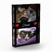 Freunde Fotoblock (Links)