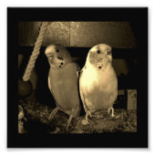 Freunde Fotodruck (Vorne)