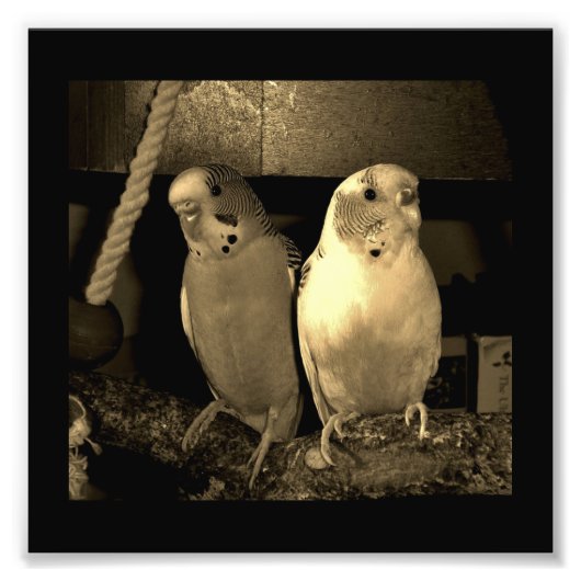 Freunde Fotodruck (Vorne)