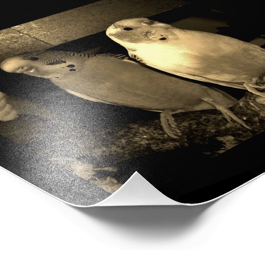 Freunde Fotodruck (Ecke)