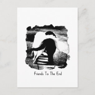 Freunde für die Katzen Postkarte