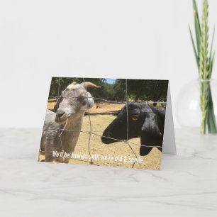 Freunde für immer alberne Karte