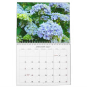 Freunde für immer Hortensien-Gärten-Kalender Kalender (Jan 2027)