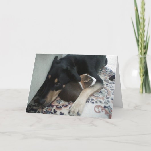 Freunde für immer karte (Vorderseite)