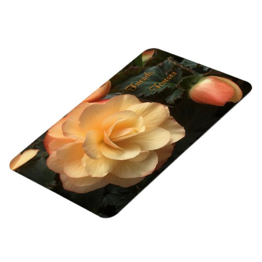 Freunde für immer magnet (Linke Seite)