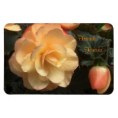 Freunde für immer magnet (Horizontal)