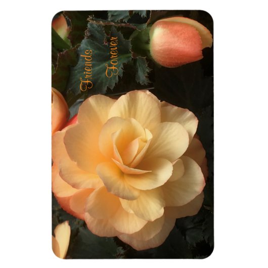 Freunde für immer magnet (Vertikal)