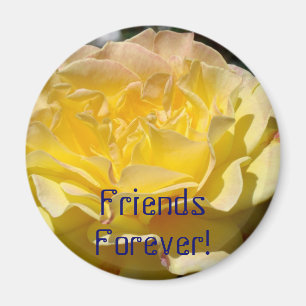 Freunde für immer! Magnetgeschenk Gelbe Rose Blume Magnet