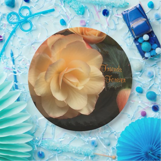 Freunde für immer pappteller (Party)