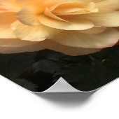 Freunde für immer poster (Ecke)