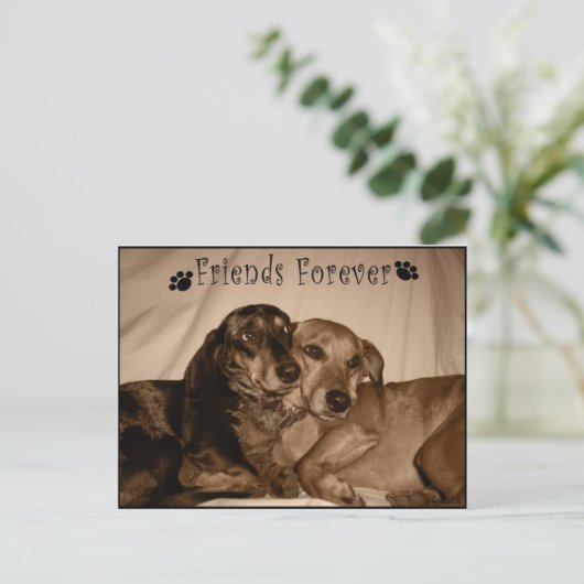 Freunde für immer postkarte (Stehend Vorderseite)