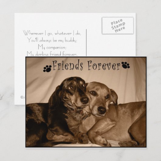 Freunde für immer postkarte (Vorne/Hinten)