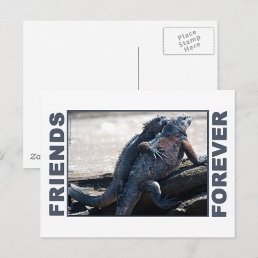 Freunde für immer Postkarte (Vorne/Hinten)