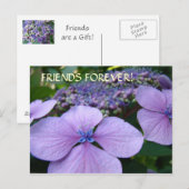 FREUNDE FÜR IMMER! Postkarten Hortensien Blumen Ka (Vorne/Hinten)
