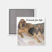 Freunde fürs Leben. Magnet (Vorderseite/Rückseite)