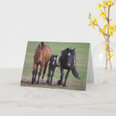 Freunde - Galloping to Freedom Greeting Card Karte (Gelbe Blume)