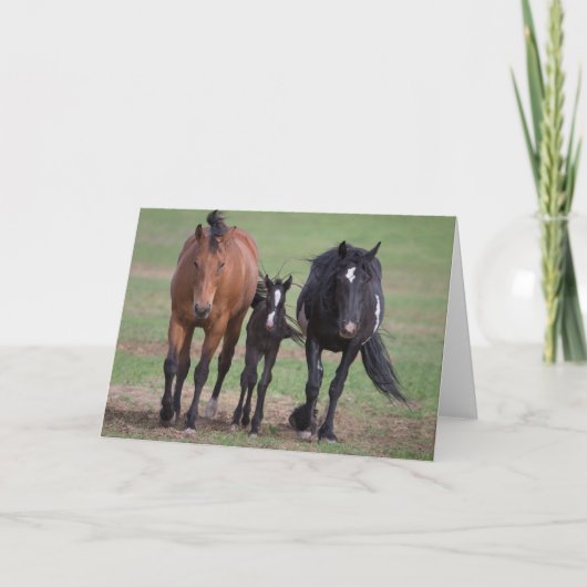 Freunde - Galloping to Freedom Greeting Card Karte (Vorderseite)