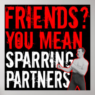 Freunde? Gemeine Sparring-Partner MIXED MARTIAL AR Poster