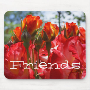 Freunde Geschenke Holiday Rote Rosen Mousepads Blu