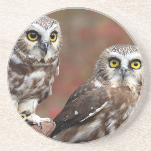 Freunde Getränkeuntersetzer (Vorne)