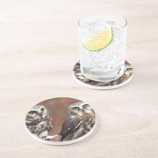 Freunde Getränkeuntersetzer (Seite)