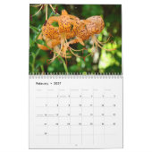 FREUNDE! KALENDER (Feb 2027)