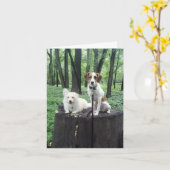 Freunde kardieren für immer karte (Gelbe Blume)