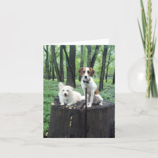 Freunde kardieren für immer karte